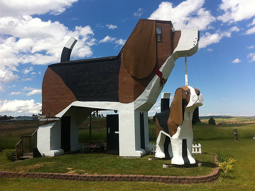 โรงแรมสุดแปลกไอเดียเจ๋ง ต้อนรับเดือนสีชมพู  Dog Bark Park