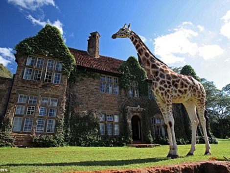 โรงแรมสุดแปลกไอเดียเจ๋ง ต้อนรับเดือนสีชมพู The Giraffe Manor