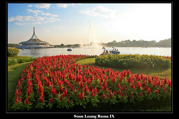 สถานที่ถ่ายภาพแต่งงานกลางกรุงฯ : Pre wedding @ สวนหลวง ร.9