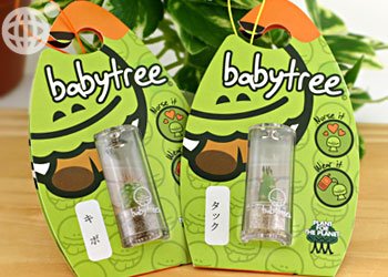 ต้นไม้จิ๋ว หรือ Baby Tree ของขวัญ ของชำร่วย ของพรีเมียม