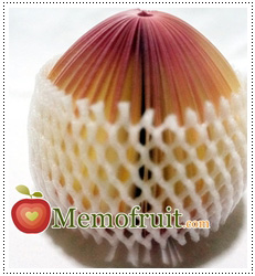 ของชำร่วยกระดาษโน๊ต