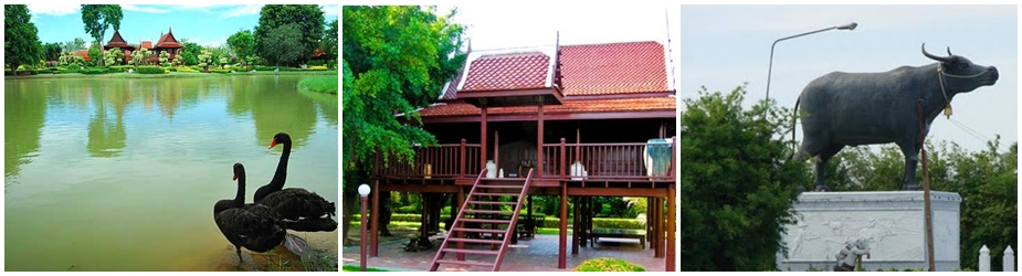 บ้านควาย สุพรรณบุรี