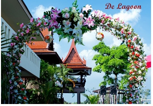 De Lagoon Wedding Planner & Organizer