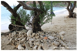 ทัศนียภาพชายหาด