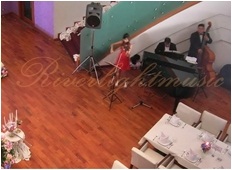 วงดนตรีงานแต่งงาน ดนตรีงานแต่งงาน