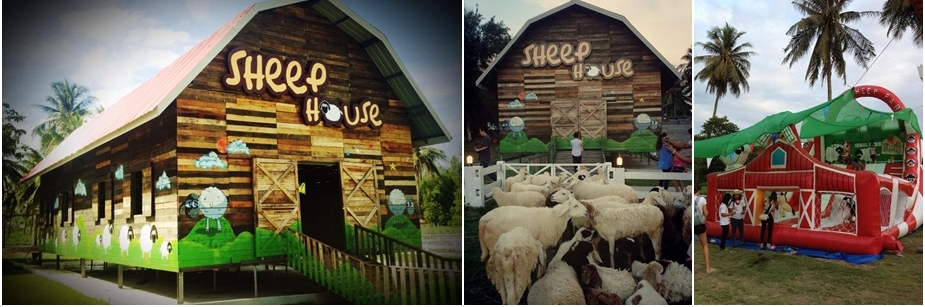 ฟาร์มแกะน้องใหม่ที่พัทยา ฟาร์มแกะพัทยา Pattaya Sheep Farm