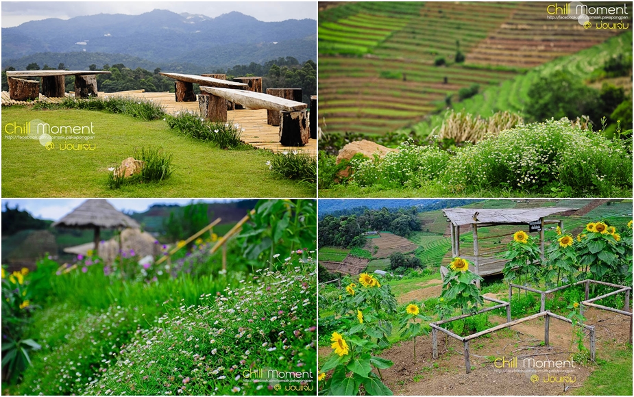 ฟรีค่าสถานที่ location pre wedding