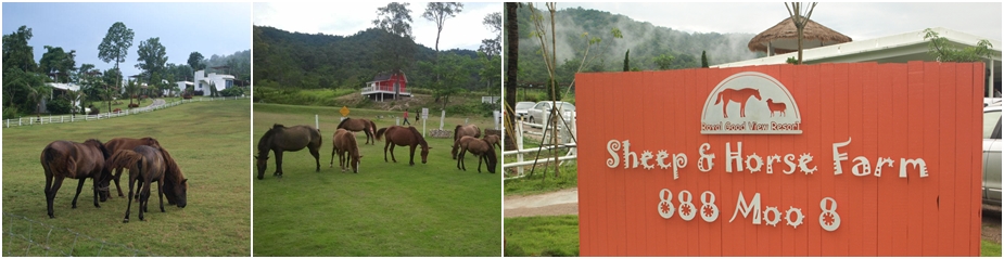 Royal Good View Reort & Farm [Horse Farm]