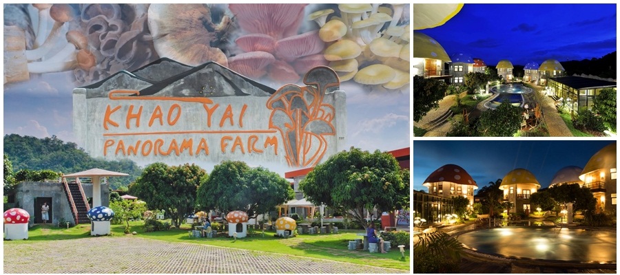 เขาใหญ่ พาโนรามา รีสอร์ท สถานที่ถ่ายพรีเวดดิ้ง