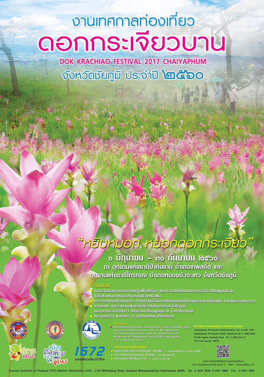 เทศกาลดอกกระเจียวบาน