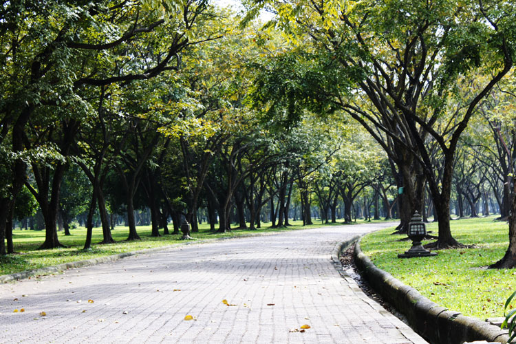 สวนพุทธมณฑล