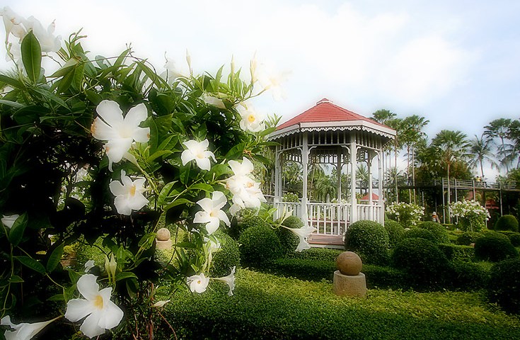 Nongnoochtropicalgarden