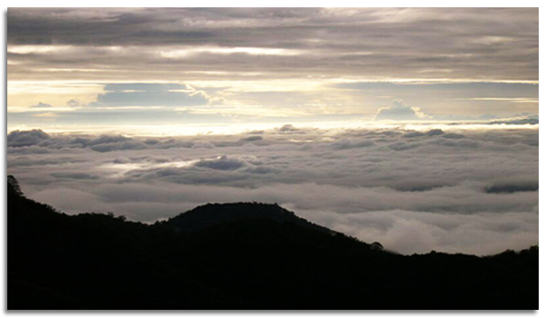 สถานที่ฮันนีมูน รีสอร์ทธรรมชาติอ่างขาง ดอยอ่างขาง จังหวัดเชียงใหม่