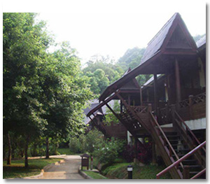 สถานที่ฮันนีมูน รีสอร์ทธรรมชาติอ่างขาง ดอยอ่างขาง จังหวัดเชียงใหม่