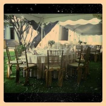 ภาพงานแต่งคุณแมงมุม ผู้พันดอลล่า