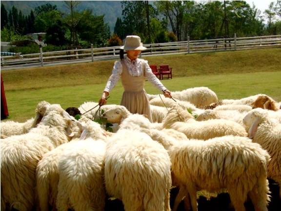 Romantic Arts Festival @ สวนผึ้ง (Candle in the Winter 2011)