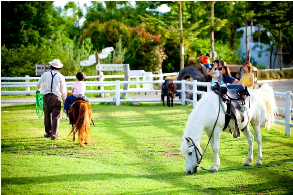Romantic Arts Festival @ สวนผึ้ง (Candle in the Winter 2011)