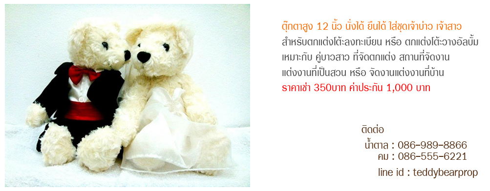อุปกรณ์ ตกแต่งสถานที่ ตุ๊กตาหมี