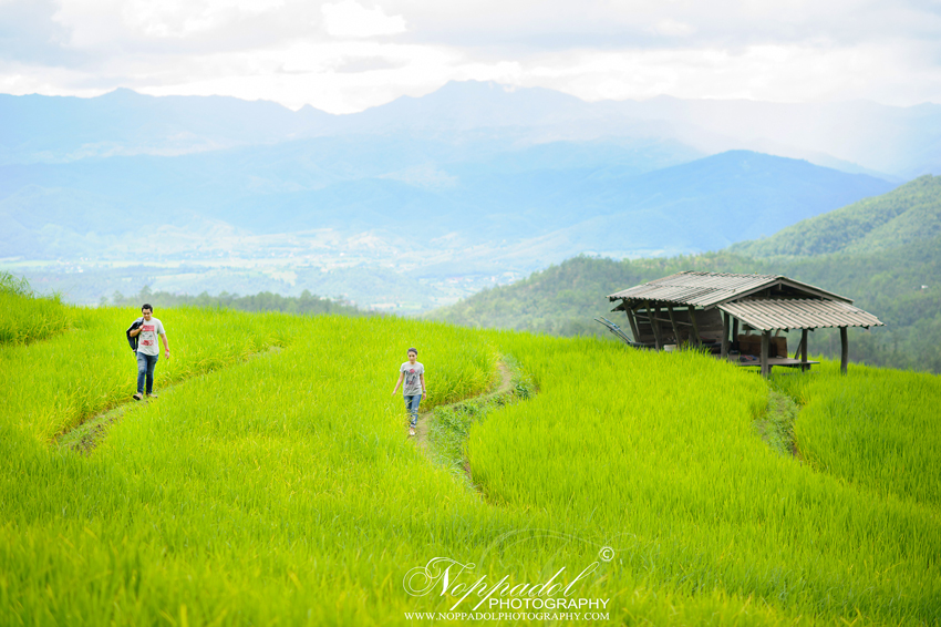 สถานที่ Latoscana สวนผึ้ง  ที่สวยงามอลังการ โดย พรีเวดดิ้ง Latoscana สวนผึ้ง pre wedding  พรีเวดดิ้งฮ่องกง งานนี้เป็นงานพรีเวดดิ้ง ที่ Benedict studio  Benedict studio ที่สวยงามอลังการ โดย Benedic studio เป็นสตูดิโอเพื่อถ่ายภาพพรีเวดดิ้ง พรีเวดดิ้งฮ่องกง รับถ่ายภาพงาน Pre-Wedding ราคาถูก  รับถ่ายภาพพรีเวดดิ้ง สถานที่ Latoscana สวนผึ้ง พรีเวดดิ้งฮ่องกง  ที่สวยงามอลังการ โดย พรีเวดดิ้งที่ Benedict studio   งานพรีเวดดิ้ง Benedict studio หลายหลายรูปแบบ pre wedding Hongkong รับถ่ายภาพพรีเวดดิ้ง หลากหลายราคา สถานที่ Latoscana สวนผึ้ง  ที่สวยงามอลังการ โดย พรีเวดดิ้ง Latoscana สวนผึ้ง ช่างภาพพรีเวดดิ้ง รับถ่ายภาพงานแต่งงาน [Wedding] รับถ่ายภาพพรีเวดดิ้งฮ่องกง รับถ่ายภาพโดยช่างภาพมืออาชีพสนใจหาช่างภาพ ถ่ายรูป รับถ่ายภาพงาน Pre-Wedding ราคาถูก รับถ่ายภาพพรีเวดดิ้ง Latoscana สวนผึ้ง  ถ่ายภาพพรีเวดดิ้ง Latoscana สวนผึ้ง รับถ่ายภาพงานแต่งงาน พรีเวดดิ้งที่ Benedict studio   งานแต่งงาน,  ถ่ายรูป Prewedding ถ่ายภาพแต่งงานราคาถูก ถ่ายรูปวิวาห์ รับถ่ายภาพงานแต่ง  พรีเวดดิ้ง ถ่ายภาพพรีเวดดิ้งราคาถูก พรีเวดดิ้งฮ่องกง รับถ่ายภาพ pre wedding และรับทำ cinematography  รับถ่ายภาพพรีเวดดิ้ง พรีเวดดิ้งฮ่องกง รูปพรีเวดดิ้งที่ส่งให้ดูเป็นเพียงตัวอย่าง ท่านสามารถเข้าไปดู รูปพรีเวดดิ้ง เพิ่มเติมได้ที่