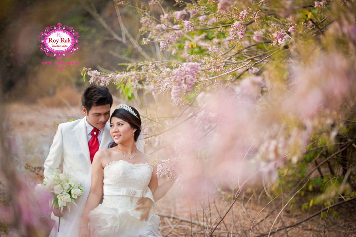 Pre Wedding