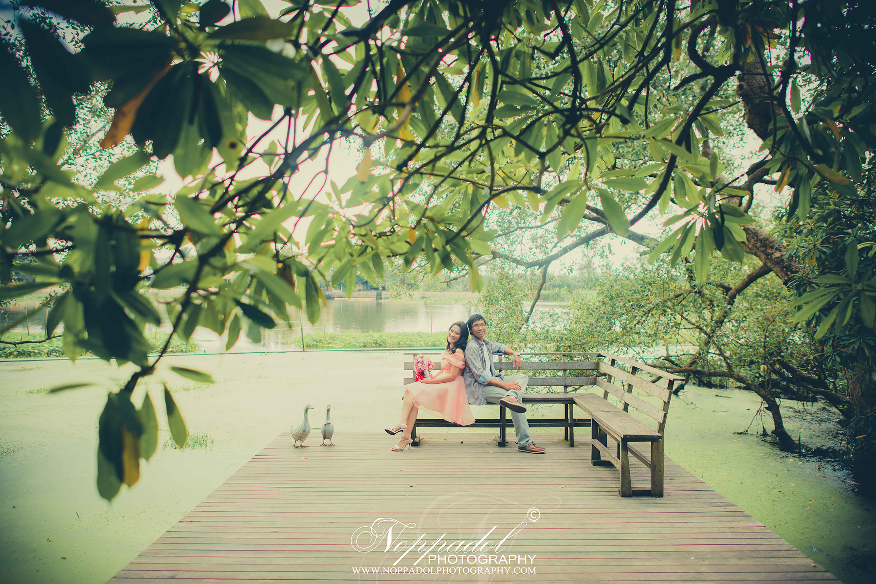 Little tree,ร้านกาแฟ,พรีเวดดิ้ง,ช่างภาพ,ช่างภาพงานแต่ง,ร้านกาแฟ,ภาพวินเทจ,ภาพพรีเวดดิ้งร้านLitteltree.Little tree garden Little tree,ร้านกาแฟ,พรีเวดดิ้ง,ช่างภาพ,ช่างภาพงานแต่ง,ร้านกาแฟ,ภาพวินเทจ,ภาพพรีเวดดิ้งร้านLitteltree.Little tree garden