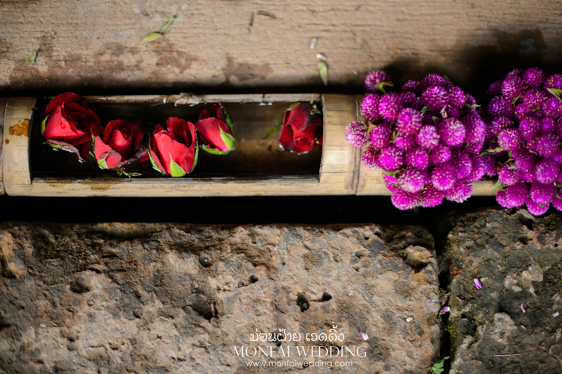 #wedding#prewedding#weddingphotographer#ช่างภาพ#ช่างภาพงานแต่ง#หาช่างภาพ#แต่งงาน#งานแต่ง#เจ้าสาว#เจ้าบ่าว#โรงแรม#แหวนแต่งงาน#งานหมั้น#noppadolphotography#เชียงใหม่#ม่อนฝ้าย#งานแต่งเชียงใหม่#เฮือนม่อนฝ้าย#ล้านนา#ภาคเหนือ#พิธี#ภาพสวยๆ#monfai#ม่อนฝ้าย#เบอร์ม่อนฝ้าย#ติดต่อม่อนฝ้าย