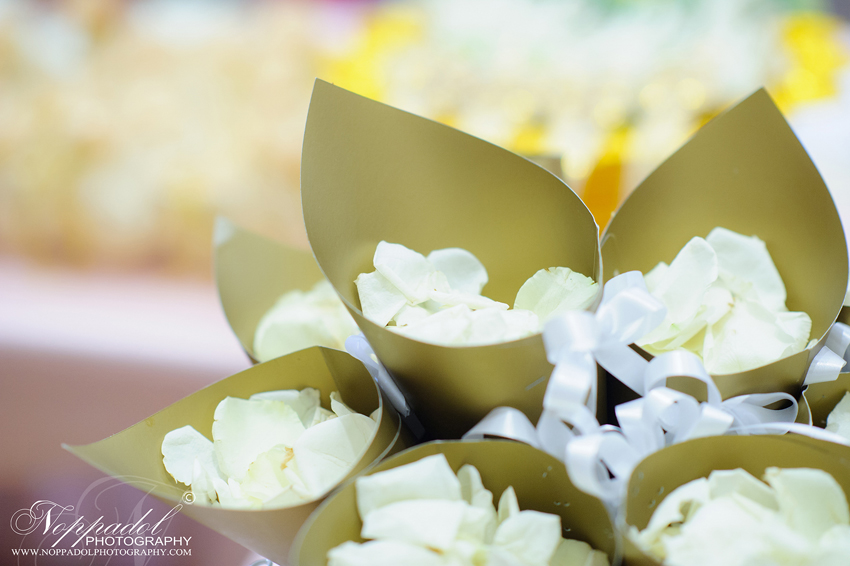 #wedding#prewedding#weddingphotographer#ช่างภาพ#ช่างภาพงานแต่ง#หาช่างภาพ#แต่งงาน#งานแต่ง#เจ้าสาว#เจ้าบ่าว#โรงแรม#แหวนแต่งงาน#งานหมั้น#noppadolphotography#เชียงใหม่#ม่อนฝ้าย#งานแต่งเชียงใหม่#เฮือนม่อนฝ้าย#ล้านนา#ภาคเหนือ#พิธี#ภาพสวยๆ#monfai#ม่อนฝ้าย#เบอร์ม่อนฝ้าย#ติดต่อม่อนฝ้าย #wedding #photooftheday #bestoftheday #vsco #vscocam #vscolover #snapseed #latergram #thailand #photographer #photogram #weddingdestination #weddingday #instawedding #weddingphotography #weddingphotographer #weddingthailand #thailandwedding #destinationwedding #vscowedding #weddingfilms #wedding #prewedding #weddingphotographer #ช่างภาพ #ช่างภาพงานแต่ง #หาช่างภาพ #แต่งงาน #งานแต่ง #เจ้าสาว #เจ้าบ่าว #โรงแรม #แหวนแต่งงาน #งานหมั้น #noppadolphotography #เชียงใหม่ #ม่อนฝ้าย #งานแต่งเชียงใหม่ #เฮือนม่อนฝ้าย #ล้านนา #ภาคเหนือ #พิธี #ภาพสวยๆ #monfai #ม่อนฝ้าย #เบอร์ม่อนฝ้าย #ติดต่อม่อนฝ้าย #wedding#prewedding#weddingphotographer#ช่างภาพ#ช่างภาพงานแต่ง#หาช่างภาพ#แต่งงาน#งานแต่ง#เจ้าสาว#เจ้าบ่าว#โรงแรม#แหวนแต่งงาน#งานหมั้น#noppadolphotography#เชียงใหม่#ม่อนฝ้าย#งานแต่งเชียงใหม่#เฮือนม่อนฝ้าย#ล้านนา#ภาคเหนือ#พิธี#ภาพสวยๆ#monfai#ม่อนฝ้าย#เบอร์ม่อนฝ้าย#ติดต่อม่อนฝ้าย #wedding #photooftheday #bestoftheday #vsco #vscocam #vscolover #snapseed #latergram #thailand #photographer #photogram #weddingdestination #weddingday #instawedding #weddingphotography #weddingphotographer #weddingthailand #thailandwedding #destinationwedding #vscowedding #weddingfilms #wedding #prewedding #weddingphotographer #ช่างภาพ #ช่างภาพงานแต่ง #หาช่างภาพ #แต่งงาน #งานแต่ง #เจ้าสาว #เจ้าบ่าว #โรงแรม #แหวนแต่งงาน #งานหมั้น #noppadolphotography #เชียงใหม่ #ม่อนฝ้าย #งานแต่งเชียงใหม่ #เฮือนม่อนฝ้าย #ล้านนา #ภาคเหนือ #พิธี #ภาพสวยๆ #monfai #ม่อนฝ้าย #เบอร์ม่อนฝ้าย #ติดต่อม่อนฝ้าย