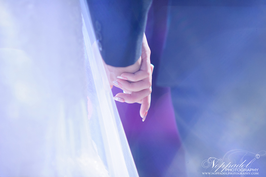 #wedding#prewedding#weddingphotographer#ช่างภาพ#ช่างภาพงานแต่ง#หาช่างภาพ#แต่งงาน#งานแต่ง#เจ้าสาว#เจ้าบ่าว#โรงแรม#แหวนแต่งงาน#งานหมั้น#noppadolphotography#เชียงใหม่#ม่อนฝ้าย#งานแต่งเชียงใหม่#เฮือนม่อนฝ้าย#ล้านนา#ภาคเหนือ#พิธี#ภาพสวยๆ#monfai#ม่อนฝ้าย#เบอร์ม่อนฝ้าย#ติดต่อม่อนฝ้าย #wedding #photooftheday #bestoftheday #vsco #vscocam #vscolover #snapseed #latergram #thailand #photographer #photogram #weddingdestination #weddingday #instawedding #weddingphotography #weddingphotographer #weddingthailand #thailandwedding #destinationwedding #vscowedding #weddingfilms #wedding #prewedding #weddingphotographer #ช่างภาพ #ช่างภาพงานแต่ง #หาช่างภาพ #แต่งงาน #งานแต่ง #เจ้าสาว #เจ้าบ่าว #โรงแรม #แหวนแต่งงาน #งานหมั้น #noppadolphotography #เชียงใหม่ #ม่อนฝ้าย #งานแต่งเชียงใหม่ #เฮือนม่อนฝ้าย #ล้านนา #ภาคเหนือ #พิธี #ภาพสวยๆ #monfai #ม่อนฝ้าย #เบอร์ม่อนฝ้าย #ติดต่อม่อนฝ้าย #wedding#prewedding#weddingphotographer#ช่างภาพ#ช่างภาพงานแต่ง#หาช่างภาพ#แต่งงาน#งานแต่ง#เจ้าสาว#เจ้าบ่าว#โรงแรม#แหวนแต่งงาน#งานหมั้น#noppadolphotography#เชียงใหม่#ม่อนฝ้าย#งานแต่งเชียงใหม่#เฮือนม่อนฝ้าย#ล้านนา#ภาคเหนือ#พิธี#ภาพสวยๆ#monfai#ม่อนฝ้าย#เบอร์ม่อนฝ้าย#ติดต่อม่อนฝ้าย #wedding #photooftheday #bestoftheday #vsco #vscocam #vscolover #snapseed #latergram #thailand #photographer #photogram #weddingdestination #weddingday #instawedding #weddingphotography #weddingphotographer #weddingthailand #thailandwedding #destinationwedding #vscowedding #weddingfilms #wedding #prewedding #weddingphotographer #ช่างภาพ #ช่างภาพงานแต่ง #หาช่างภาพ #แต่งงาน #งานแต่ง #เจ้าสาว #เจ้าบ่าว #โรงแรม #แหวนแต่งงาน #งานหมั้น #noppadolphotography #เชียงใหม่ #ม่อนฝ้าย #งานแต่งเชียงใหม่ #เฮือนม่อนฝ้าย #ล้านนา #ภาคเหนือ #พิธี #ภาพสวยๆ #monfai #ม่อนฝ้าย #เบอร์ม่อนฝ้าย #ติดต่อม่อนฝ้าย