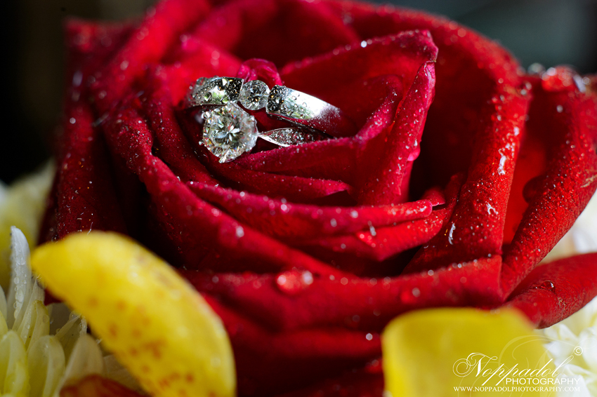 #wedding#prewedding#weddingphotographer#ช่างภาพ#ช่างภาพงานแต่ง#หาช่างภาพ#แต่งงาน#งานแต่ง#เจ้าสาว#เจ้าบ่าว#โรงแรม#แหวนแต่งงาน#งานหมั้น#noppadolphotography#เชียงใหม่#ม่อนฝ้าย#งานแต่งเชียงใหม่#เฮือนม่อนฝ้าย#ล้านนา#ภาคเหนือ#พิธี#ภาพสวยๆ#monfai#ม่อนฝ้าย#เบอร์ม่อนฝ้าย#ติดต่อม่อนฝ้าย #wedding #photooftheday #bestoftheday #vsco #vscocam #vscolover #snapseed #latergram #thailand #photographer #photogram #weddingdestination #weddingday #instawedding #weddingphotography #weddingphotographer #weddingthailand #thailandwedding #destinationwedding #vscowedding #weddingfilms #wedding #prewedding #weddingphotographer #ช่างภาพ #ช่างภาพงานแต่ง #หาช่างภาพ #แต่งงาน #งานแต่ง #เจ้าสาว #เจ้าบ่าว #โรงแรม #แหวนแต่งงาน #งานหมั้น #noppadolphotography #เชียงใหม่ #ม่อนฝ้าย #งานแต่งเชียงใหม่ #เฮือนม่อนฝ้าย #ล้านนา #ภาคเหนือ #พิธี #ภาพสวยๆ #monfai #ม่อนฝ้าย #เบอร์ม่อนฝ้าย #ติดต่อม่อนฝ้าย #wedding#prewedding#weddingphotographer#ช่างภาพ#ช่างภาพงานแต่ง#หาช่างภาพ#แต่งงาน#งานแต่ง#เจ้าสาว#เจ้าบ่าว#โรงแรม#แหวนแต่งงาน#งานหมั้น#noppadolphotography#เชียงใหม่#ม่อนฝ้าย#งานแต่งเชียงใหม่#เฮือนม่อนฝ้าย#ล้านนา#ภาคเหนือ#พิธี#ภาพสวยๆ#monfai#ม่อนฝ้าย#เบอร์ม่อนฝ้าย#ติดต่อม่อนฝ้าย #wedding #photooftheday #bestoftheday #vsco #vscocam #vscolover #snapseed #latergram #thailand #photographer #photogram #weddingdestination #weddingday #instawedding #weddingphotography #weddingphotographer #weddingthailand #thailandwedding #destinationwedding #vscowedding #weddingfilms #wedding #prewedding #weddingphotographer #ช่างภาพ #ช่างภาพงานแต่ง #หาช่างภาพ #แต่งงาน #งานแต่ง #เจ้าสาว #เจ้าบ่าว #โรงแรม #แหวนแต่งงาน #งานหมั้น #noppadolphotography #เชียงใหม่ #ม่อนฝ้าย #งานแต่งเชียงใหม่ #เฮือนม่อนฝ้าย #ล้านนา #ภาคเหนือ #พิธี #ภาพสวยๆ #monfai #ม่อนฝ้าย #เบอร์ม่อนฝ้าย #ติดต่อม่อนฝ้าย