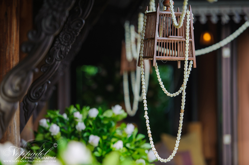 #wedding#prewedding#weddingphotographer#ช่างภาพ#ช่างภาพงานแต่ง#หาช่างภาพ#แต่งงาน#งานแต่ง#เจ้าสาว#เจ้าบ่าว#โรงแรม#แหวนแต่งงาน#งานหมั้น#noppadolphotography#เชียงใหม่#ม่อนฝ้าย#งานแต่งเชียงใหม่#เฮือนม่อนฝ้าย#ล้านนา#ภาคเหนือ#พิธี#ภาพสวยๆ#monfai#ม่อนฝ้าย#เบอร์ม่อนฝ้าย#ติดต่อม่อนฝ้าย #wedding #photooftheday #bestoftheday #vsco #vscocam #vscolover #snapseed #latergram #thailand #photographer #photogram #weddingdestination #weddingday #instawedding #weddingphotography #weddingphotographer #weddingthailand #thailandwedding #destinationwedding #vscowedding #weddingfilms #wedding #prewedding #weddingphotographer #ช่างภาพ #ช่างภาพงานแต่ง #หาช่างภาพ #แต่งงาน #งานแต่ง #เจ้าสาว #เจ้าบ่าว #โรงแรม #แหวนแต่งงาน #งานหมั้น #noppadolphotography #เชียงใหม่ #ม่อนฝ้าย #งานแต่งเชียงใหม่ #เฮือนม่อนฝ้าย #ล้านนา #ภาคเหนือ #พิธี #ภาพสวยๆ #monfai #ม่อนฝ้าย #เบอร์ม่อนฝ้าย #ติดต่อม่อนฝ้าย #wedding#prewedding#weddingphotographer#ช่างภาพ#ช่างภาพงานแต่ง#หาช่างภาพ#แต่งงาน#งานแต่ง#เจ้าสาว#เจ้าบ่าว#โรงแรม#แหวนแต่งงาน#งานหมั้น#noppadolphotography#เชียงใหม่#ม่อนฝ้าย#งานแต่งเชียงใหม่#เฮือนม่อนฝ้าย#ล้านนา#ภาคเหนือ#พิธี#ภาพสวยๆ#monfai#ม่อนฝ้าย#เบอร์ม่อนฝ้าย#ติดต่อม่อนฝ้าย #wedding #photooftheday #bestoftheday #vsco #vscocam #vscolover #snapseed #latergram #thailand #photographer #photogram #weddingdestination #weddingday #instawedding #weddingphotography #weddingphotographer #weddingthailand #thailandwedding #destinationwedding #vscowedding #weddingfilms #wedding #prewedding #weddingphotographer #ช่างภาพ #ช่างภาพงานแต่ง #หาช่างภาพ #แต่งงาน #งานแต่ง #เจ้าสาว #เจ้าบ่าว #โรงแรม #แหวนแต่งงาน #งานหมั้น #noppadolphotography #เชียงใหม่ #ม่อนฝ้าย #งานแต่งเชียงใหม่ #เฮือนม่อนฝ้าย #ล้านนา #ภาคเหนือ #พิธี #ภาพสวยๆ #monfai #ม่อนฝ้าย #เบอร์ม่อนฝ้าย #ติดต่อม่อนฝ้าย