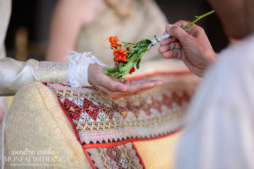  #wedding #photooftheday #bestoftheday #vsco #vscocam #vscolover #snapseed #latergram #thailand  #photographer #photogram #weddingdestination #weddingday #instawedding #weddingphotography #weddingphotographer #weddingthailand #thailandwedding #destinationwedding #vscowedding #weddingfilms #wedding #prewedding #weddingphotographer #ช่างภาพ #ช่างภาพงานแต่ง #หาช่างภาพ #แต่งงาน #งานแต่ง #เจ้าสาว #เจ้าบ่าว #โรงแรม #แหวนแต่งงาน #งานหมั้น #noppadolphotography #เชียงใหม่ #ม่อนฝ้าย #งานแต่งเชียงใหม่ #เฮือนม่อนฝ้าย #ล้านนา #ภาคเหนือ #พิธี #ภาพสวยๆ #monfai #ม่อนฝ้าย #เบอร์ม่อนฝ้าย #ติดต่อม่อนฝ้าย 