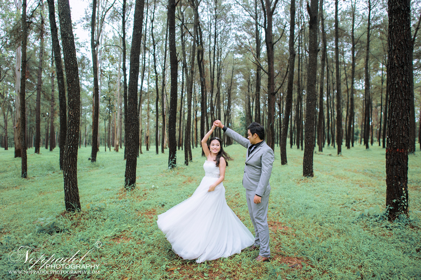 #wedding#prewedding#weddingphotographer#ช่างภาพ#ช่างภาพงานแต่ง#หาช่างภาพ#แต่งงาน#งานแต่ง#เจ้าสาว#เจ้าบ่าว#โรงแรม#แหวนแต่งงาน#งานหมั้น#noppadolphotography#เชียงใหม่#ม่อนฝ้าย#งานแต่งเชียงใหม่#เฮือนม่อนฝ้าย#ล้านนา#ภาคเหนือ#พิธี#ภาพสวยๆ#monfai#ม่อนฝ้าย#เบอร์ม่อนฝ้าย#ติดต่อม่อนฝ้าย  #wedding #photooftheday #bestoftheday #vsco #vscocam #vscolover #snapseed #latergram #thailand #photographer #photogram #weddingdestination #weddingday #instawedding #weddingphotography #weddingphotographer #weddingthailand #thailandwedding #destinationwedding #vscowedding #weddingfilms #wedding #prewedding #weddingphotographer #ช่างภาพ #ช่างภาพงานแต่ง #หาช่างภาพ #แต่งงาน #งานแต่ง #เจ้าสาว #เจ้าบ่าว #โรงแรม #แหวนแต่งงาน #งานหมั้น #noppadolphotography #เชียงใหม่ #ม่อนฝ้าย #งานแต่งเชียงใหม่ #เฮือนม่อนฝ้าย #ล้านนา #ภาคเหนือ #พิธี #ภาพสวยๆ #monfai #ม่อนฝ้าย #เบอร์ม่อนฝ้าย #ติดต่อม่อนฝ้าย 