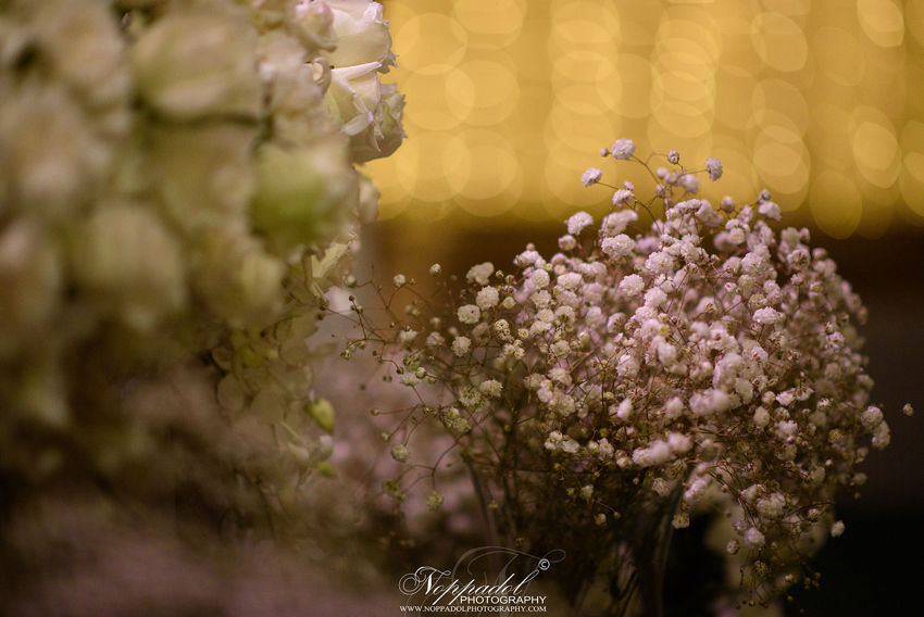 #wedding#prewedding#weddingphotographer#ช่างภาพ#ช่างภาพงานแต่ง#หาช่างภาพ#แต่งงาน#งานแต่ง#เจ้าสาว#เจ้าบ่าว#โรงแรม#แหวนแต่งงาน#งานหมั้น#noppadolphotography#เชียงใหม่#ม่อนฝ้าย#งานแต่งเชียงใหม่#เฮือนม่อนฝ้าย#ล้านนา#ภาคเหนือ#พิธี#ภาพสวยๆ#monfai#ม่อนฝ้าย#เบอร์ม่อนฝ้าย#ติดต่อม่อนฝ้าย #wedding #photooftheday #bestoftheday #vsco #vscocam #vscolover #snapseed #latergram #thailand #photographer #photogram #weddingdestination #weddingday #instawedding #weddingphotography #weddingphotographer #weddingthailand #thailandwedding #destinationwedding #vscowedding #weddingfilms #wedding #prewedding #weddingphotographer #ช่างภาพ #ช่างภาพงานแต่ง #หาช่างภาพ #แต่งงาน #งานแต่ง #เจ้าสาว #เจ้าบ่าว #โรงแรม #แหวนแต่งงาน #งานหมั้น #noppadolphotography #เชียงใหม่ #ม่อนฝ้าย #งานแต่งเชียงใหม่ #เฮือนม่อนฝ้าย #ล้านนา #ภาคเหนือ #พิธี #ภาพสวยๆ #monfai #ม่อนฝ้าย #เบอร์ม่อนฝ้าย #ติดต่อม่อนฝ้าย #wedding#prewedding#weddingphotographer#ช่างภาพ#ช่างภาพงานแต่ง#หาช่างภาพ#แต่งงาน#งานแต่ง#เจ้าสาว#เจ้าบ่าว#โรงแรม#แหวนแต่งงาน#งานหมั้น#noppadolphotography#เชียงใหม่#ม่อนฝ้าย#งานแต่งเชียงใหม่#เฮือนม่อนฝ้าย#ล้านนา#ภาคเหนือ#พิธี#ภาพสวยๆ#monfai#ม่อนฝ้าย#เบอร์ม่อนฝ้าย#ติดต่อม่อนฝ้าย #wedding #photooftheday #bestoftheday #vsco #vscocam #vscolover #snapseed #latergram #thailand #photographer #photogram #weddingdestination #weddingday #instawedding #weddingphotography #weddingphotographer #weddingthailand #thailandwedding #destinationwedding #vscowedding #weddingfilms #wedding #prewedding #weddingphotographer #ช่างภาพ #ช่างภาพงานแต่ง #หาช่างภาพ #แต่งงาน #งานแต่ง #เจ้าสาว #เจ้าบ่าว #โรงแรม #แหวนแต่งงาน #งานหมั้น #noppadolphotography #เชียงใหม่ #ม่อนฝ้าย #งานแต่งเชียงใหม่ #เฮือนม่อนฝ้าย #ล้านนา #ภาคเหนือ #พิธี #ภาพสวยๆ #monfai #ม่อนฝ้าย #เบอร์ม่อนฝ้าย #ติดต่อม่อนฝ้าย
