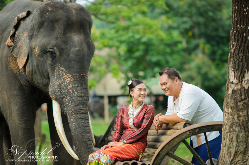 #wedding#prewedding#weddingphotographer#ช่างภาพ#ช่างภาพงานแต่ง#หาช่างภาพ#แต่งงาน#งานแต่ง#เจ้าสาว#เจ้าบ่าว#โรงแรม#แหวนแต่งงาน#งานหมั้น#noppadolphotography#เชียงใหม่#ม่อนฝ้าย#งานแต่งเชียงใหม่#เฮือนม่อนฝ้าย#ล้านนา#ภาคเหนือ#พิธี#ภาพสวยๆ#monfai#ม่อนฝ้าย#เบอร์ม่อนฝ้าย#ติดต่อม่อนฝ้าย  #wedding #photooftheday #bestoftheday #vsco #vscocam #vscolover #snapseed #latergram #thailand #photographer #photogram #weddingdestination #weddingday #instawedding #weddingphotography #weddingphotographer #weddingthailand #thailandwedding #destinationwedding #vscowedding #weddingfilms #wedding #prewedding #weddingphotographer #ช่างภาพ #ช่างภาพงานแต่ง #หาช่างภาพ #แต่งงาน #งานแต่ง #เจ้าสาว #เจ้าบ่าว #โรงแรม #แหวนแต่งงาน #งานหมั้น #noppadolphotography #เชียงใหม่ #ม่อนฝ้าย #งานแต่งเชียงใหม่ #เฮือนม่อนฝ้าย #ล้านนา #ภาคเหนือ #พิธี #ภาพสวยๆ #monfai #ม่อนฝ้าย #เบอร์ม่อนฝ้าย #ติดต่อม่อนฝ้าย 