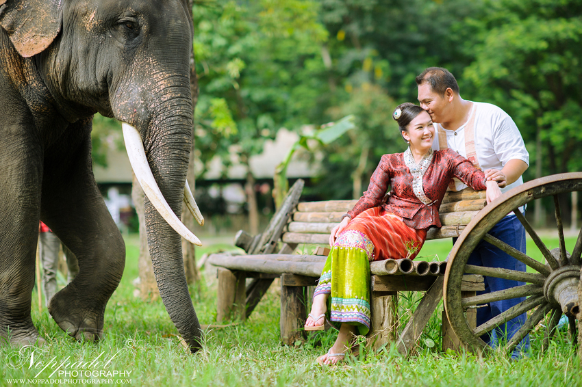 #wedding#prewedding#weddingphotographer#ช่างภาพ#ช่างภาพงานแต่ง#หาช่างภาพ#แต่งงาน#งานแต่ง#เจ้าสาว#เจ้าบ่าว#โรงแรม#แหวนแต่งงาน#งานหมั้น#noppadolphotography#เชียงใหม่#ม่อนฝ้าย#งานแต่งเชียงใหม่#เฮือนม่อนฝ้าย#ล้านนา#ภาคเหนือ#พิธี#ภาพสวยๆ#monfai#ม่อนฝ้าย#เบอร์ม่อนฝ้าย#ติดต่อม่อนฝ้าย  #wedding #photooftheday #bestoftheday #vsco #vscocam #vscolover #snapseed #latergram #thailand #photographer #photogram #weddingdestination #weddingday #instawedding #weddingphotography #weddingphotographer #weddingthailand #thailandwedding #destinationwedding #vscowedding #weddingfilms #wedding #prewedding #weddingphotographer #ช่างภาพ #ช่างภาพงานแต่ง #หาช่างภาพ #แต่งงาน #งานแต่ง #เจ้าสาว #เจ้าบ่าว #โรงแรม #แหวนแต่งงาน #งานหมั้น #noppadolphotography #เชียงใหม่ #ม่อนฝ้าย #งานแต่งเชียงใหม่ #เฮือนม่อนฝ้าย #ล้านนา #ภาคเหนือ #พิธี #ภาพสวยๆ #monfai #ม่อนฝ้าย #เบอร์ม่อนฝ้าย #ติดต่อม่อนฝ้าย 