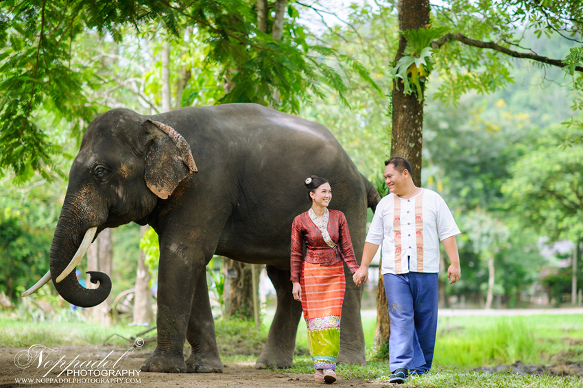 #wedding#prewedding#weddingphotographer#ช่างภาพ#ช่างภาพงานแต่ง#หาช่างภาพ#แต่งงาน#งานแต่ง#เจ้าสาว#เจ้าบ่าว#โรงแรม#แหวนแต่งงาน#งานหมั้น#noppadolphotography#เชียงใหม่#ม่อนฝ้าย#งานแต่งเชียงใหม่#เฮือนม่อนฝ้าย#ล้านนา#ภาคเหนือ#พิธี#ภาพสวยๆ#monfai#ม่อนฝ้าย#เบอร์ม่อนฝ้าย#ติดต่อม่อนฝ้าย  #wedding #photooftheday #bestoftheday #vsco #vscocam #vscolover #snapseed #latergram #thailand #photographer #photogram #weddingdestination #weddingday #instawedding #weddingphotography #weddingphotographer #weddingthailand #thailandwedding #destinationwedding #vscowedding #weddingfilms #wedding #prewedding #weddingphotographer #ช่างภาพ #ช่างภาพงานแต่ง #หาช่างภาพ #แต่งงาน #งานแต่ง #เจ้าสาว #เจ้าบ่าว #โรงแรม #แหวนแต่งงาน #งานหมั้น #noppadolphotography #เชียงใหม่ #ม่อนฝ้าย #งานแต่งเชียงใหม่ #เฮือนม่อนฝ้าย #ล้านนา #ภาคเหนือ #พิธี #ภาพสวยๆ #monfai #ม่อนฝ้าย #เบอร์ม่อนฝ้าย #ติดต่อม่อนฝ้าย 