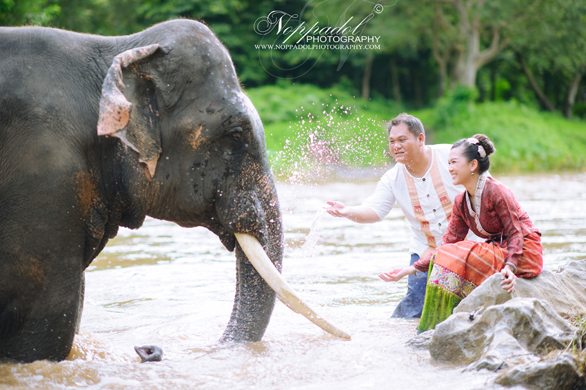 #wedding#prewedding#weddingphotographer#ช่างภาพ#ช่างภาพงานแต่ง#หาช่างภาพ#แต่งงาน#งานแต่ง#เจ้าสาว#เจ้าบ่าว#โรงแรม#แหวนแต่งงาน#งานหมั้น#noppadolphotography#เชียงใหม่#ม่อนฝ้าย#งานแต่งเชียงใหม่#เฮือนม่อนฝ้าย#ล้านนา#ภาคเหนือ#พิธี#ภาพสวยๆ#monfai#ม่อนฝ้าย#เบอร์ม่อนฝ้าย#ติดต่อม่อนฝ้าย  #wedding #photooftheday #bestoftheday #vsco #vscocam #vscolover #snapseed #latergram #thailand #photographer #photogram #weddingdestination #weddingday #instawedding #weddingphotography #weddingphotographer #weddingthailand #thailandwedding #destinationwedding #vscowedding #weddingfilms #wedding #prewedding #weddingphotographer #ช่างภาพ #ช่างภาพงานแต่ง #หาช่างภาพ #แต่งงาน #งานแต่ง #เจ้าสาว #เจ้าบ่าว #โรงแรม #แหวนแต่งงาน #งานหมั้น #noppadolphotography #เชียงใหม่ #ม่อนฝ้าย #งานแต่งเชียงใหม่ #เฮือนม่อนฝ้าย #ล้านนา #ภาคเหนือ #พิธี #ภาพสวยๆ #monfai #ม่อนฝ้าย #เบอร์ม่อนฝ้าย #ติดต่อม่อนฝ้าย 