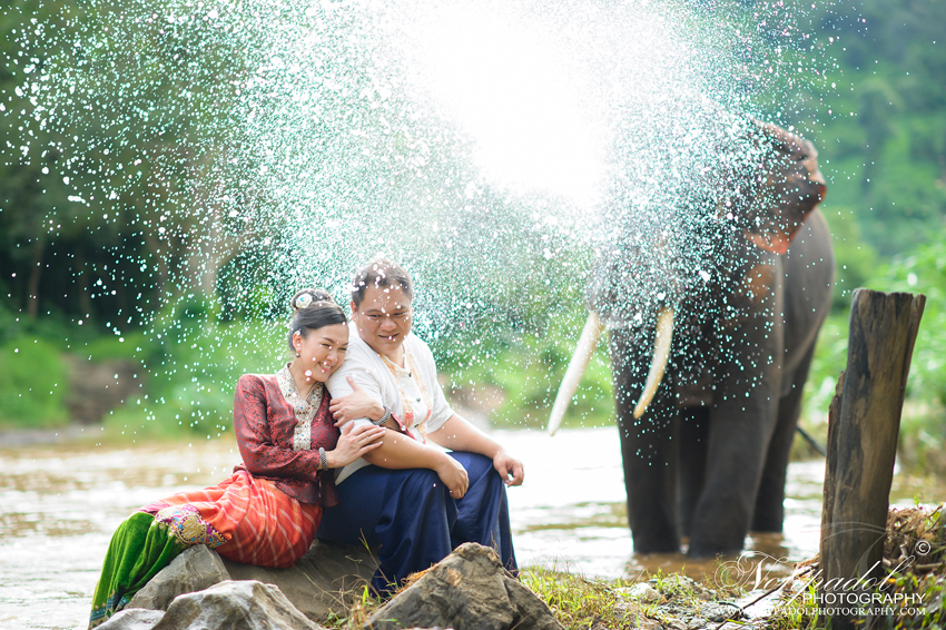 #wedding#prewedding#weddingphotographer#ช่างภาพ#ช่างภาพงานแต่ง#หาช่างภาพ#แต่งงาน#งานแต่ง#เจ้าสาว#เจ้าบ่าว#โรงแรม#แหวนแต่งงาน#งานหมั้น#noppadolphotography#เชียงใหม่#ม่อนฝ้าย#งานแต่งเชียงใหม่#เฮือนม่อนฝ้าย#ล้านนา#ภาคเหนือ#พิธี#ภาพสวยๆ#monfai#ม่อนฝ้าย#เบอร์ม่อนฝ้าย#ติดต่อม่อนฝ้าย  #wedding #photooftheday #bestoftheday #vsco #vscocam #vscolover #snapseed #latergram #thailand #photographer #photogram #weddingdestination #weddingday #instawedding #weddingphotography #weddingphotographer #weddingthailand #thailandwedding #destinationwedding #vscowedding #weddingfilms #wedding #prewedding #weddingphotographer #ช่างภาพ #ช่างภาพงานแต่ง #หาช่างภาพ #แต่งงาน #งานแต่ง #เจ้าสาว #เจ้าบ่าว #โรงแรม #แหวนแต่งงาน #งานหมั้น #noppadolphotography #เชียงใหม่ #ม่อนฝ้าย #งานแต่งเชียงใหม่ #เฮือนม่อนฝ้าย #ล้านนา #ภาคเหนือ #พิธี #ภาพสวยๆ #monfai #ม่อนฝ้าย #เบอร์ม่อนฝ้าย #ติดต่อม่อนฝ้าย 