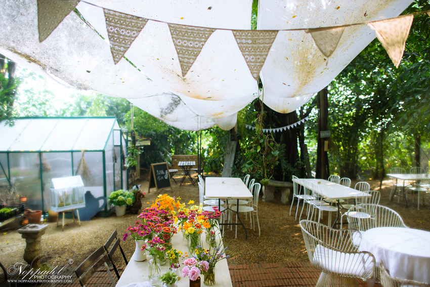 Little Tree Home & Garden,พรีเวดดิ้ง , Prewedding , Benedict Studio ,แต่งงาน ,ช่างภาพ , Wedding Studio ถ่ายรูปแต่งงาน , วีดีโอแต่งงาน , งานพรีเวดดิ้ง ,Benedict studio ,pre wedding ,ช่างภาพพรีเวดดิ้ง ,รับถ่ายภาพงานแต่งงาน ,รับถ่ายภาพพรีเวดดิ้ง รับถ่ายภาพโดยช่างภาพมืออาชีพ สนใจหาช่างภาพ, ถ่ายรูป รับถ่ายภาพพรีเวดดิ้ง รับถ่ายภาพงานแต่ง งานแต่งงาน รับถ่ายภาพพรีเวดดิง งานแต่งงาน ถ่ายรูป Prewedding ถ่ายภาพแต่งงานราคาถูก ถ่ายรูปวิวาห์ รับถ่ายภาพงานแต่ง พรีเวดดิ้ง ถ่ายภาพพรีเวดดิ้งราคาถูก รับถ่ายภาพ pre wedding และรับทำ cinematography รับถ่ายภาพพรีเวดดิ้ง รับถ่ายภาพงานแต่งงาน, ถ่ายภาพงานแต่ง รับถ่ายภาพแต่งงาน, บริการถ่ายภาพ, ถ่ายรูป, รับปริญญา, แต่งงาน, งานแต่งงาน, ช่างภาพ ถ่ายภาพนิ่ง, รับถ่ายภาพรับปริญญา Little Tree Home & Garden,พรีเวดดิ้ง , Prewedding , Benedict Studio ,แต่งงาน ,ช่างภาพ , Wedding Studio ถ่ายรูปแต่งงาน , วีดีโอแต่งงาน , งานพรีเวดดิ้ง ,Benedict studio ,pre wedding ,ช่างภาพพรีเวดดิ้ง ,รับถ่ายภาพงานแต่งงาน ,รับถ่ายภาพพรีเวดดิ้ง รับถ่ายภาพโดยช่างภาพมืออาชีพ สนใจหาช่างภาพ, ถ่ายรูป รับถ่ายภาพพรีเวดดิ้ง รับถ่ายภาพงานแต่ง งานแต่งงาน รับถ่ายภาพพรีเวดดิง งานแต่งงาน ถ่ายรูป Prewedding ถ่ายภาพแต่งงานราคาถูก ถ่ายรูปวิวาห์ รับถ่ายภาพงานแต่ง พรีเวดดิ้ง ถ่ายภาพพรีเวดดิ้งราคาถูก รับถ่ายภาพ pre wedding และรับทำ cinematography รับถ่ายภาพพรีเวดดิ้ง รับถ่ายภาพงานแต่งงาน, ถ่ายภาพงานแต่ง รับถ่ายภาพแต่งงาน, บริการถ่ายภาพ, ถ่ายรูป, รับปริญญา, แต่งงาน, งานแต่งงาน, ช่างภาพ ถ่ายภาพนิ่ง, รับถ่ายภาพรับปริญญา