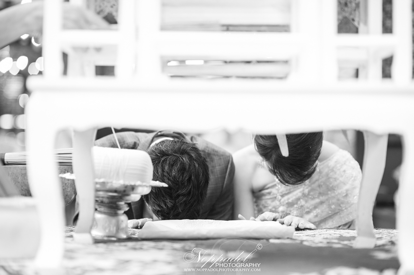 รีวิวการจัดงานงานแต่งงานในสวนที่ Mellow Garden รีวิวการจัดงานงานแต่งงานในสวนที่ Mellow Garden