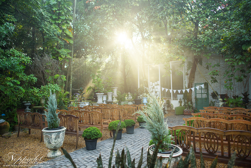 งานแต่ง Little Tree Wedding งานแต่ง Little Tree Wedding