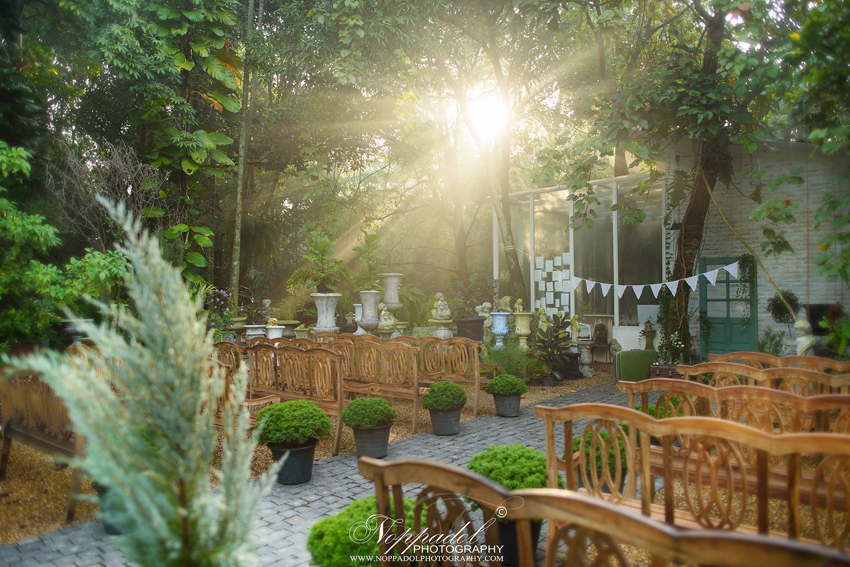 งานแต่ง Little Tree Wedding งานแต่ง Little Tree Wedding