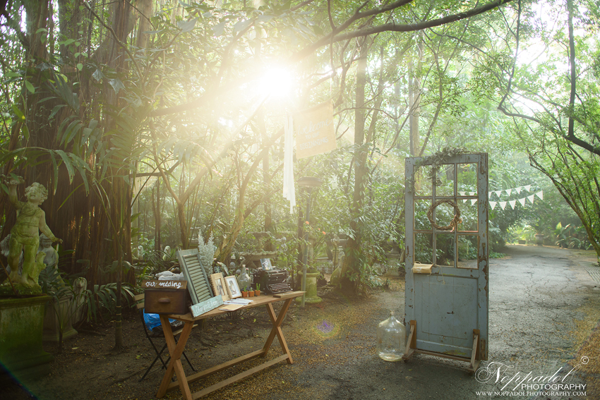 งานแต่ง Little Tree Wedding งานแต่ง Little Tree Wedding