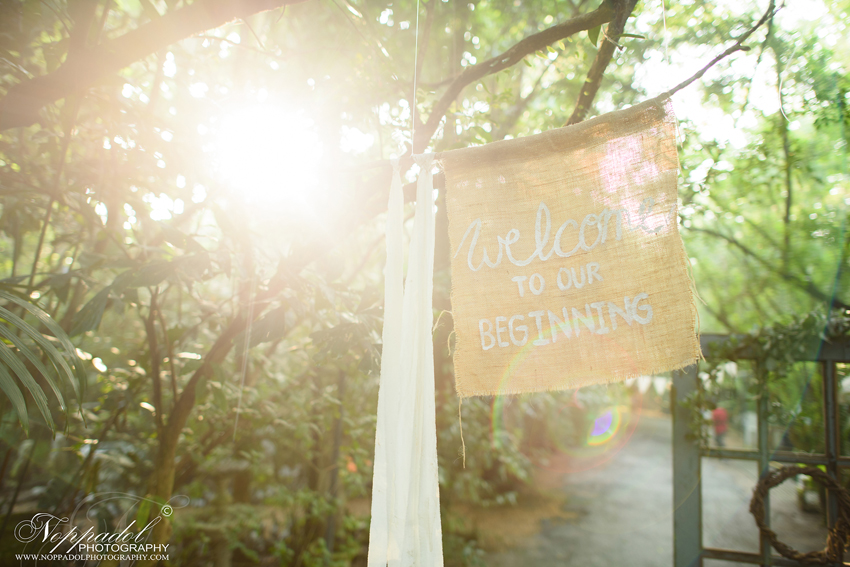 งานแต่ง Little Tree Wedding งานแต่ง Little Tree Wedding