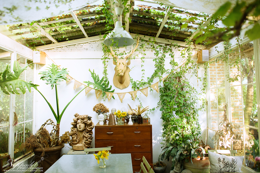 งานแต่ง Little Tree Wedding งานแต่ง Little Tree Wedding