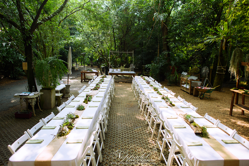 งานแต่ง Little Tree Wedding งานแต่ง Little Tree Wedding