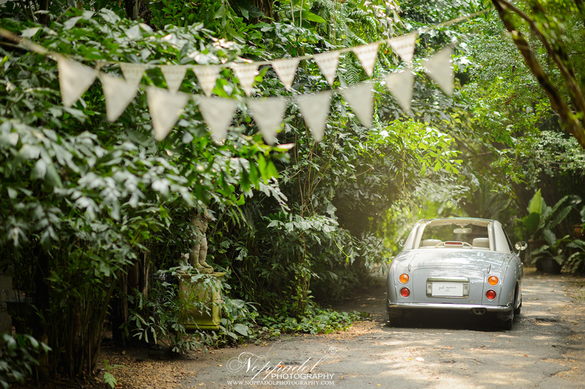 งานแต่ง Little Tree Wedding งานแต่ง Little Tree Wedding