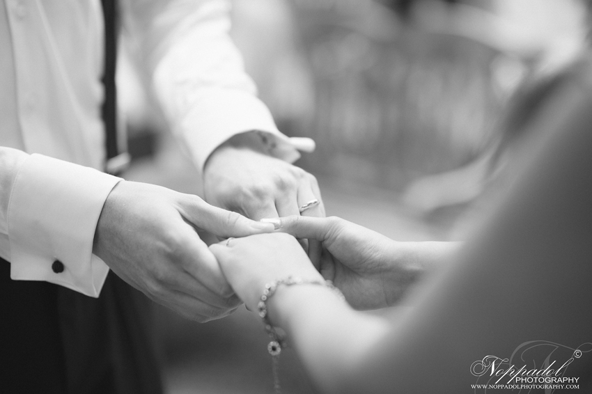 งานแต่ง Little Tree Wedding งานแต่ง Little Tree Wedding