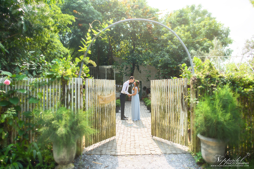 งานแต่ง Little Tree Wedding งานแต่ง Little Tree Wedding