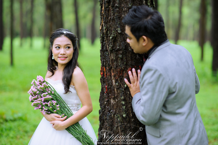 ม่อนฝ้าย,ช่างภาพเชียงใหม่,ถ่ายภาพ,เชียงใหม่,รับถ่ายภาพเชียงใหม่,สตูเชียงใหม่,สถานที่ถ่ายเชียงใหม่,หาช่างภาพเชียงใหม่,ม่อนฝ้าย,โรงแรมเชียงใหม่,ล้านนา,แต่งงานแบบล้านนา,งานหมั้น 